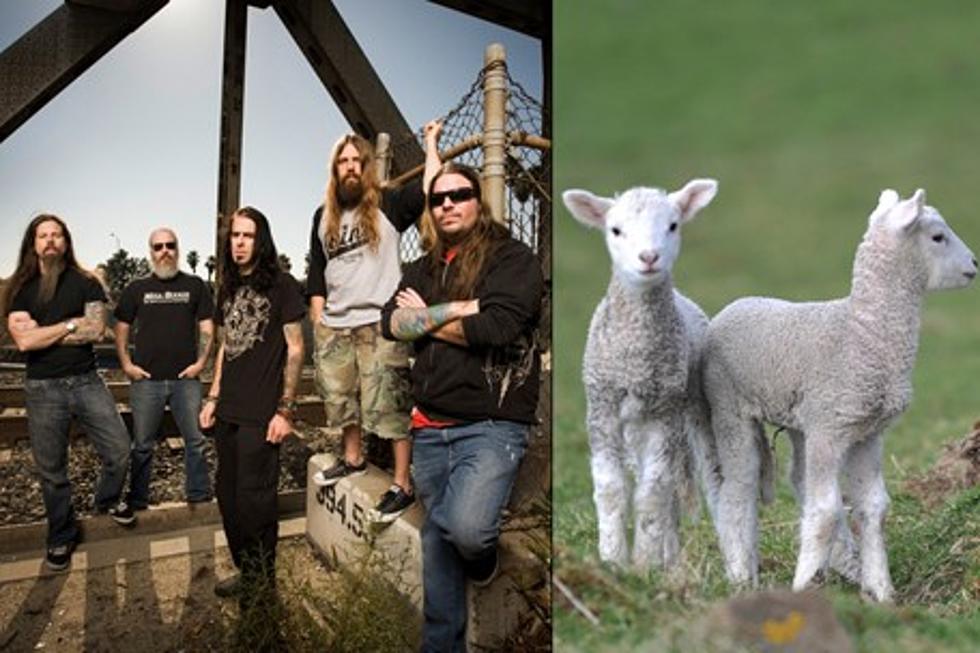 Metal Bands With Deceptively Cute Names (PHOTOS)