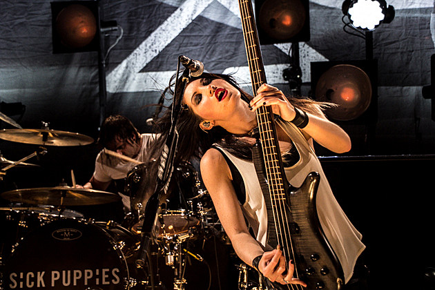 Sick-Puppies-6