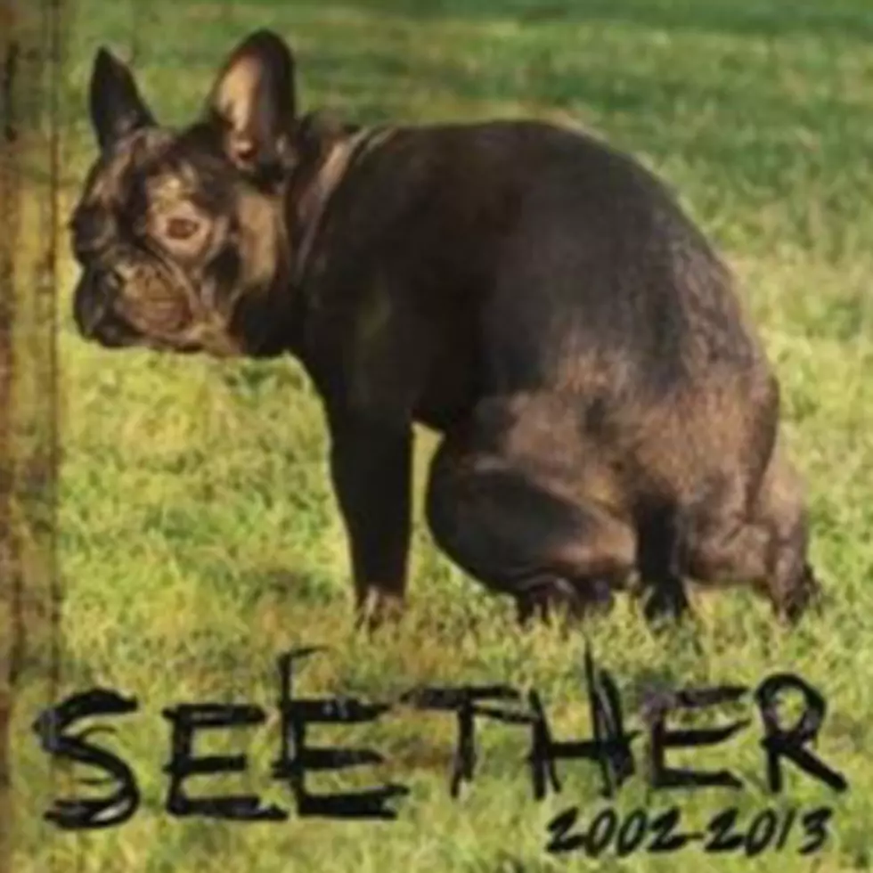 Seether to Release Two-Disc, Self-Titled Hits Collection