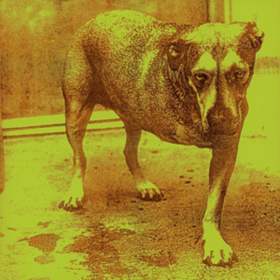 Favorite Alice in Chains Self-Titled Album Song &#8211; Readers Poll
