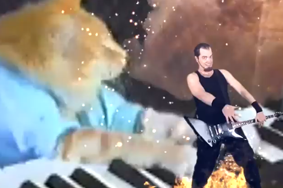 Heavy Metal Ode to Cats on the Internet [Watch]