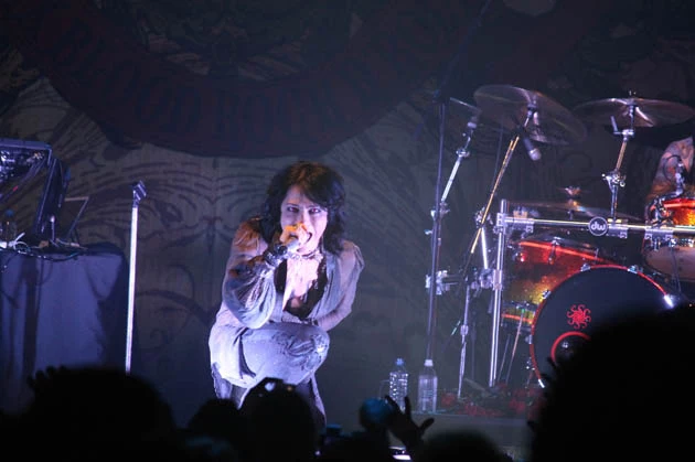 Vamps (5)